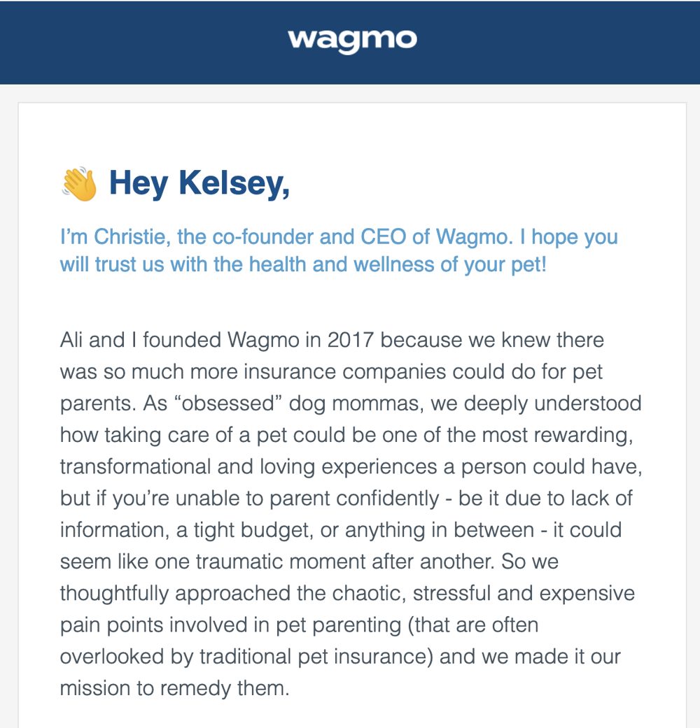 Wagmo letter from the CEO email